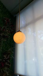 Proyecto en Restaurante Europa