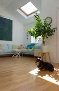 cortinas de velux